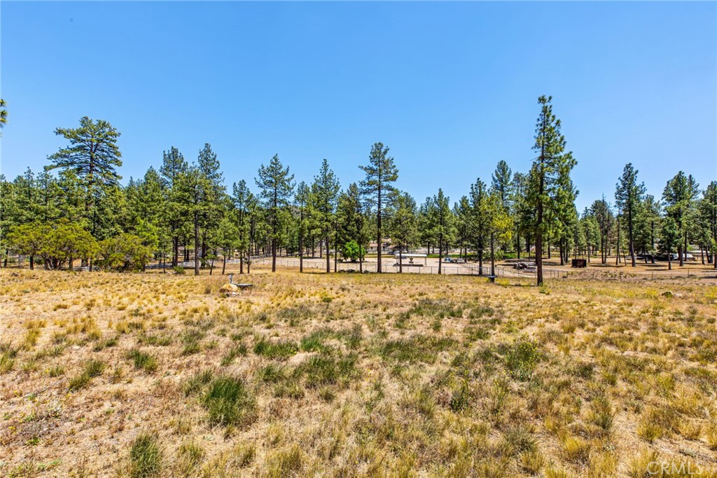 36350 Butterfly Peak Road Mountain Center, CA 92561 - Photo 41 of 47