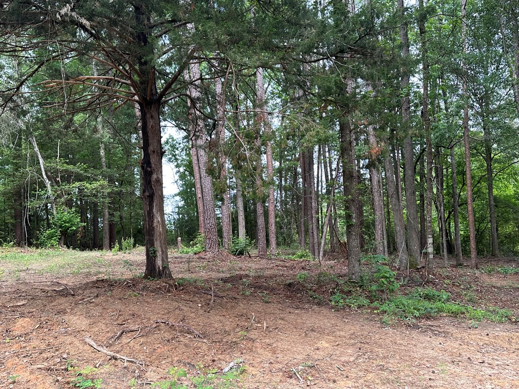593 Mary McClendon Road Ozark, AL 36360 - Photo 56 of 65