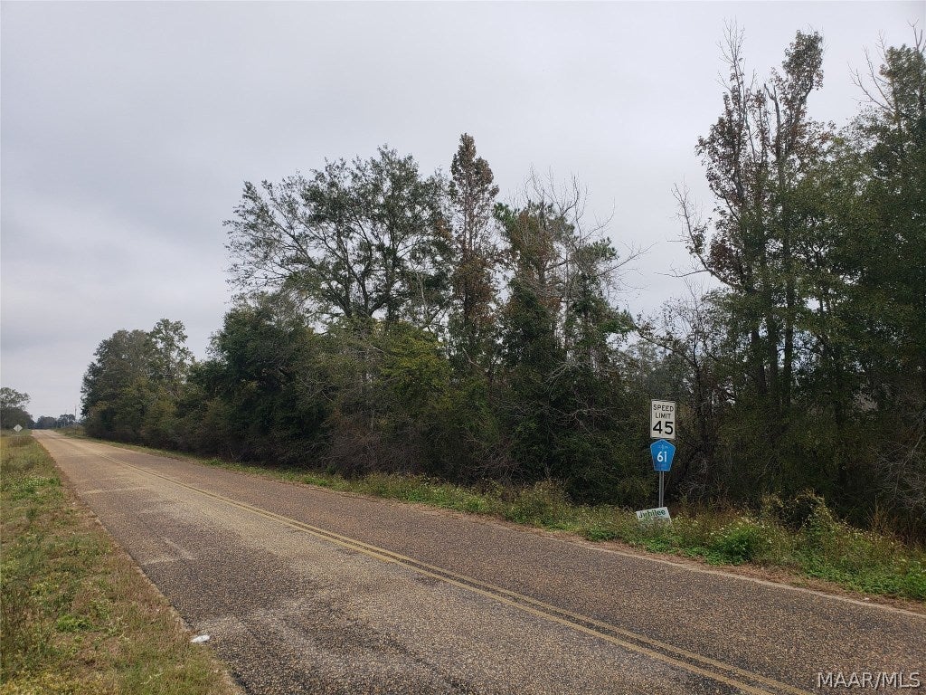 0 County Road 4 Road Black, AL 36314 - Photo 3 of 8 Gallery Image 3