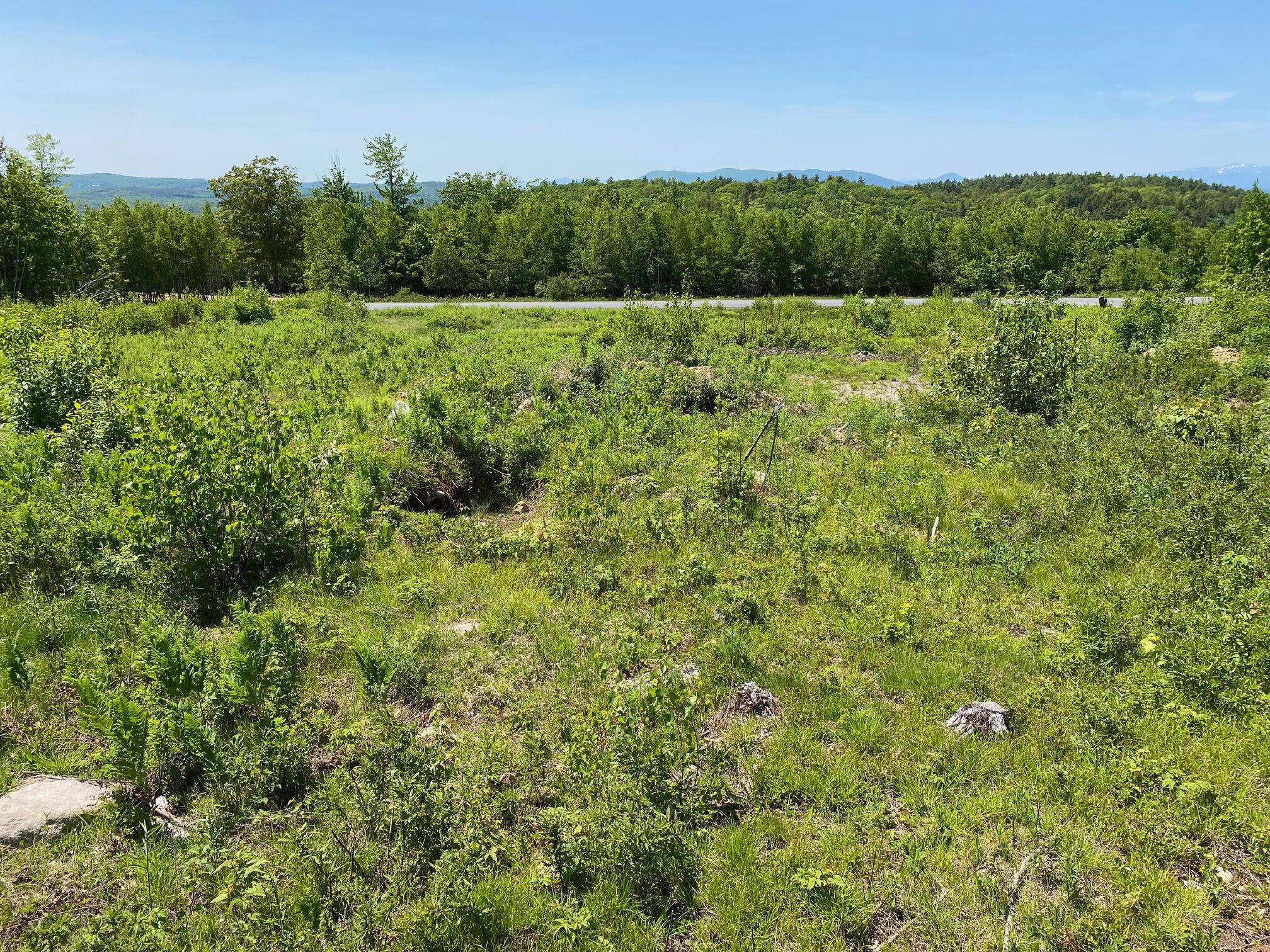 Lot #3 Vista Way Naples, ME 04055 - Photo 10 of 23 IMG_7425