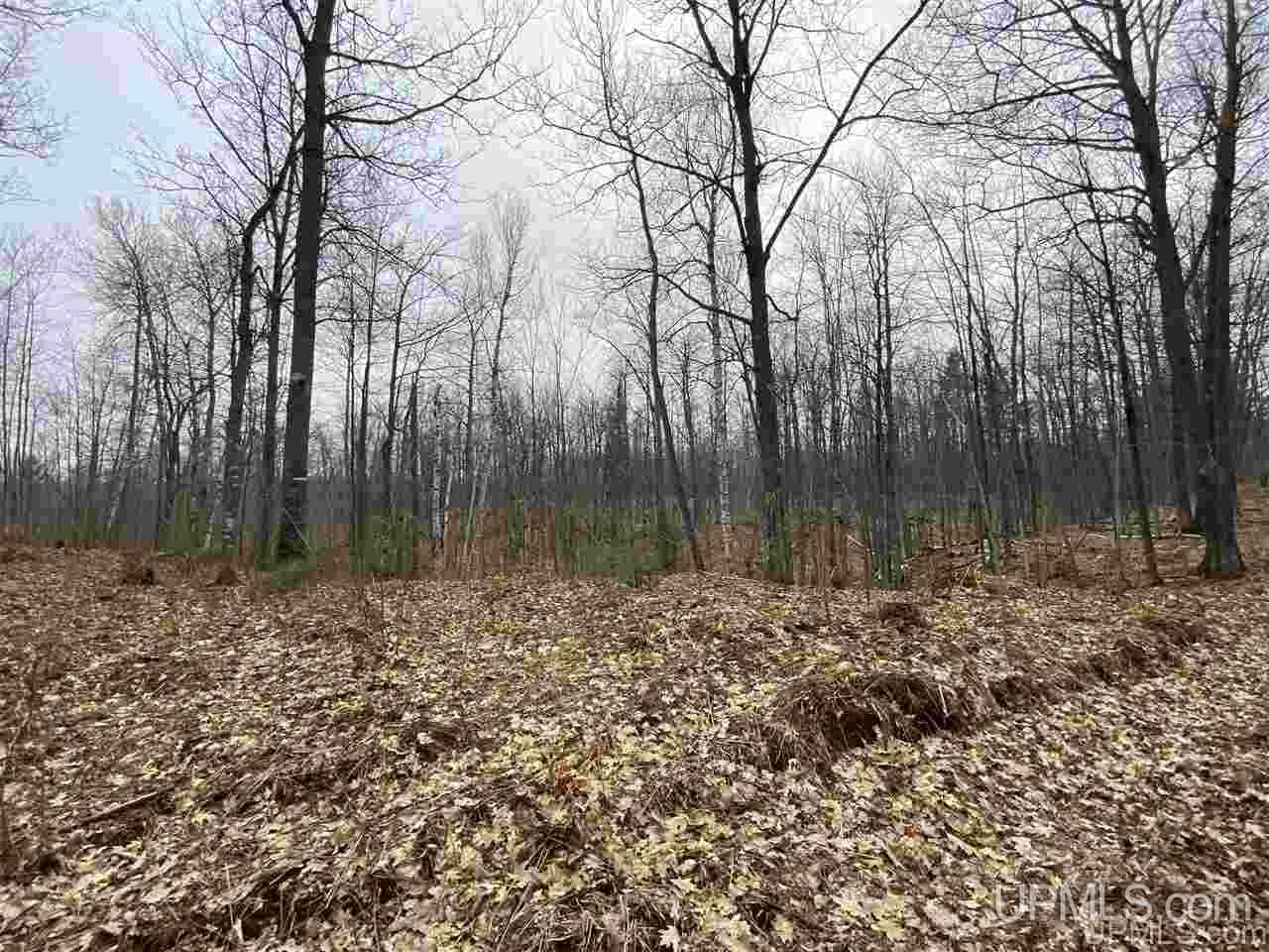 Tbd Plains Cutoff Road Baraga, MI 49908 - Photo 22 of 49