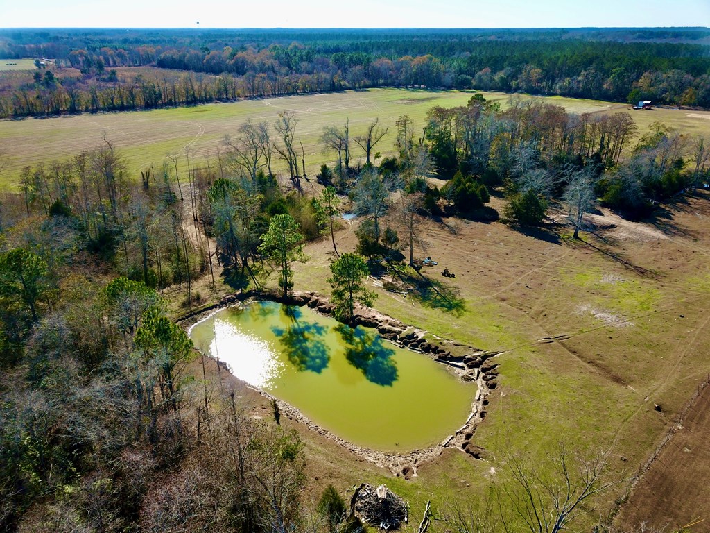 12.7-acres Nobles Road Dothan, AL 36301 - Photo 11 of 41