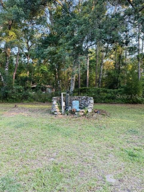 11817 Southwest 58th Street Webster, FL 33597 - Photo 35 of 46 a backyard of a house with yard and trampoline
