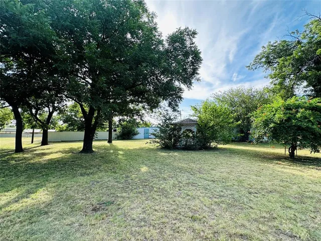 a view of a trees in a yard