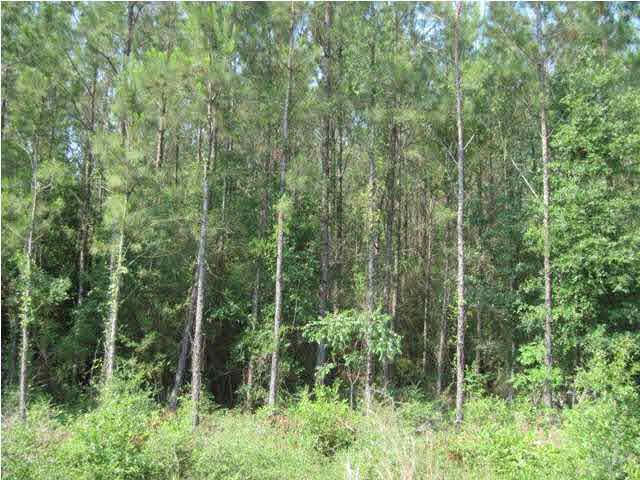 Lot 20 Southridge Road Milton, FL 32570 - Photo 4 of 4 Gallery Image 4