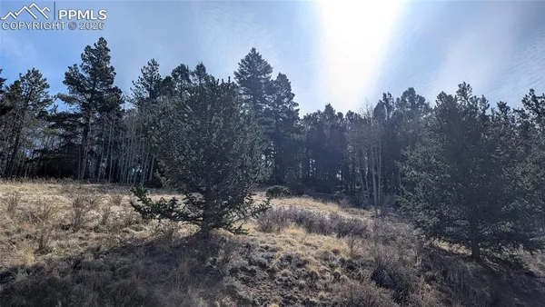 $32,900 | 136 Valley Road, Divide, CO 80814