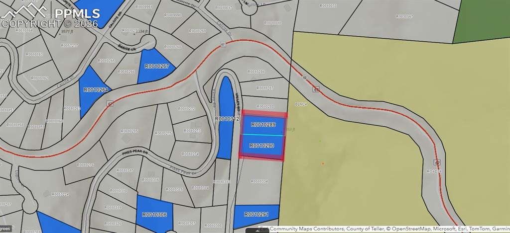 136 Valley Road Divide, CO 80814 - Photo 8 of 8