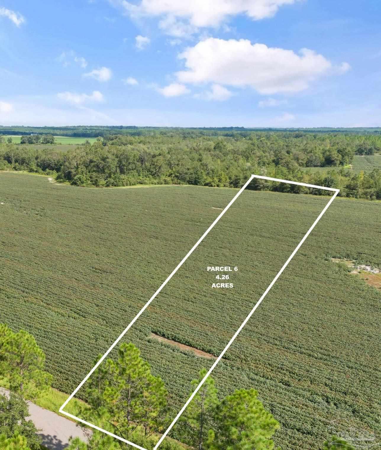 6 Mineral Springs Road Jay, FL 32565 - Photo 2 of 4
