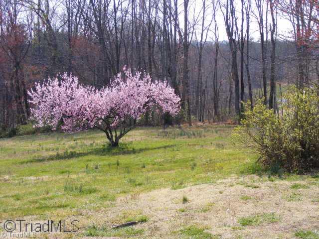 2575 Slate Road King, NC 27021 - Photo 2 of 5 Other.
