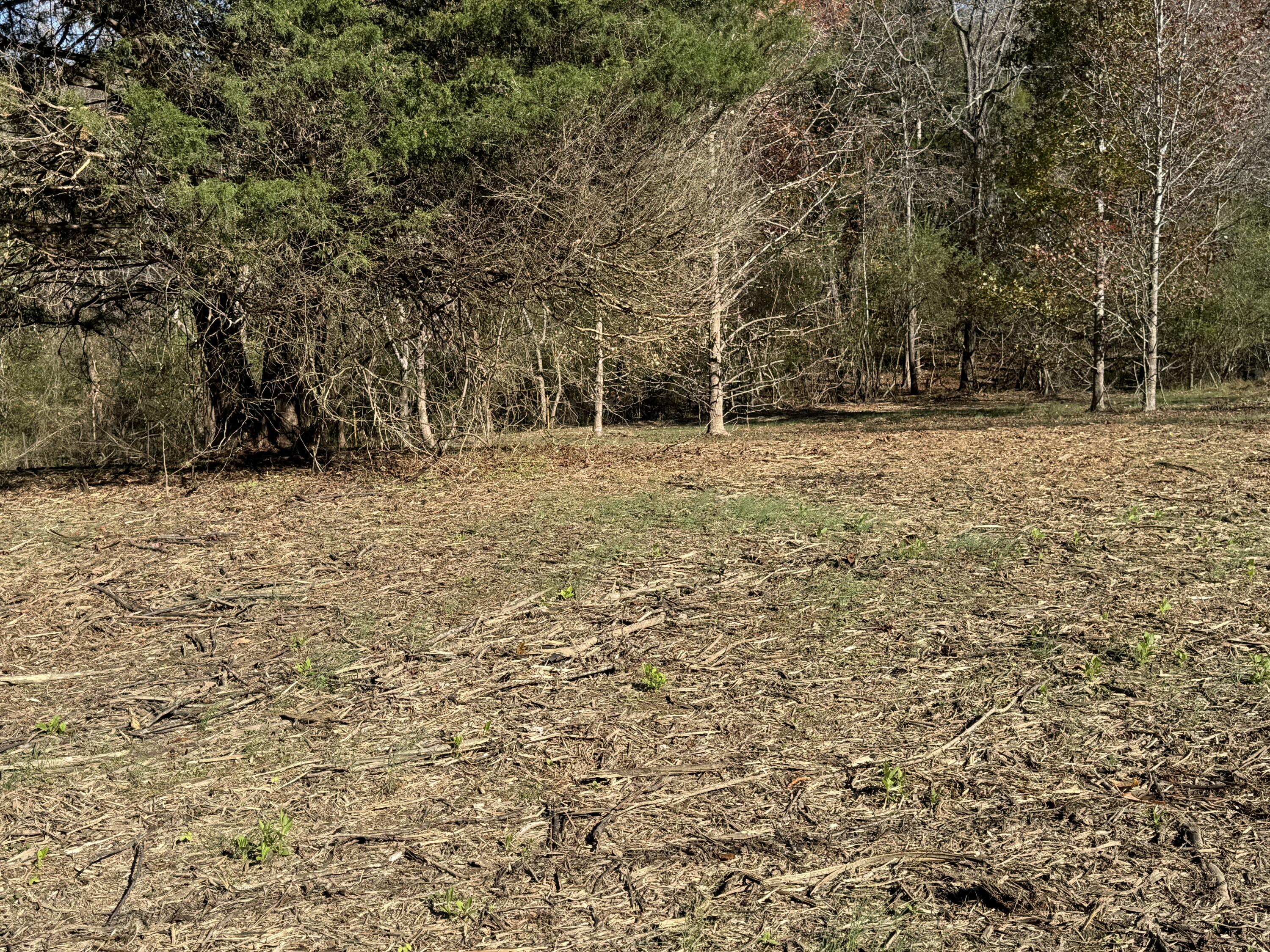 0 Sugar Tree Lane Birchwood, TN 37308 - Photo 2 of 4 IMG_0179