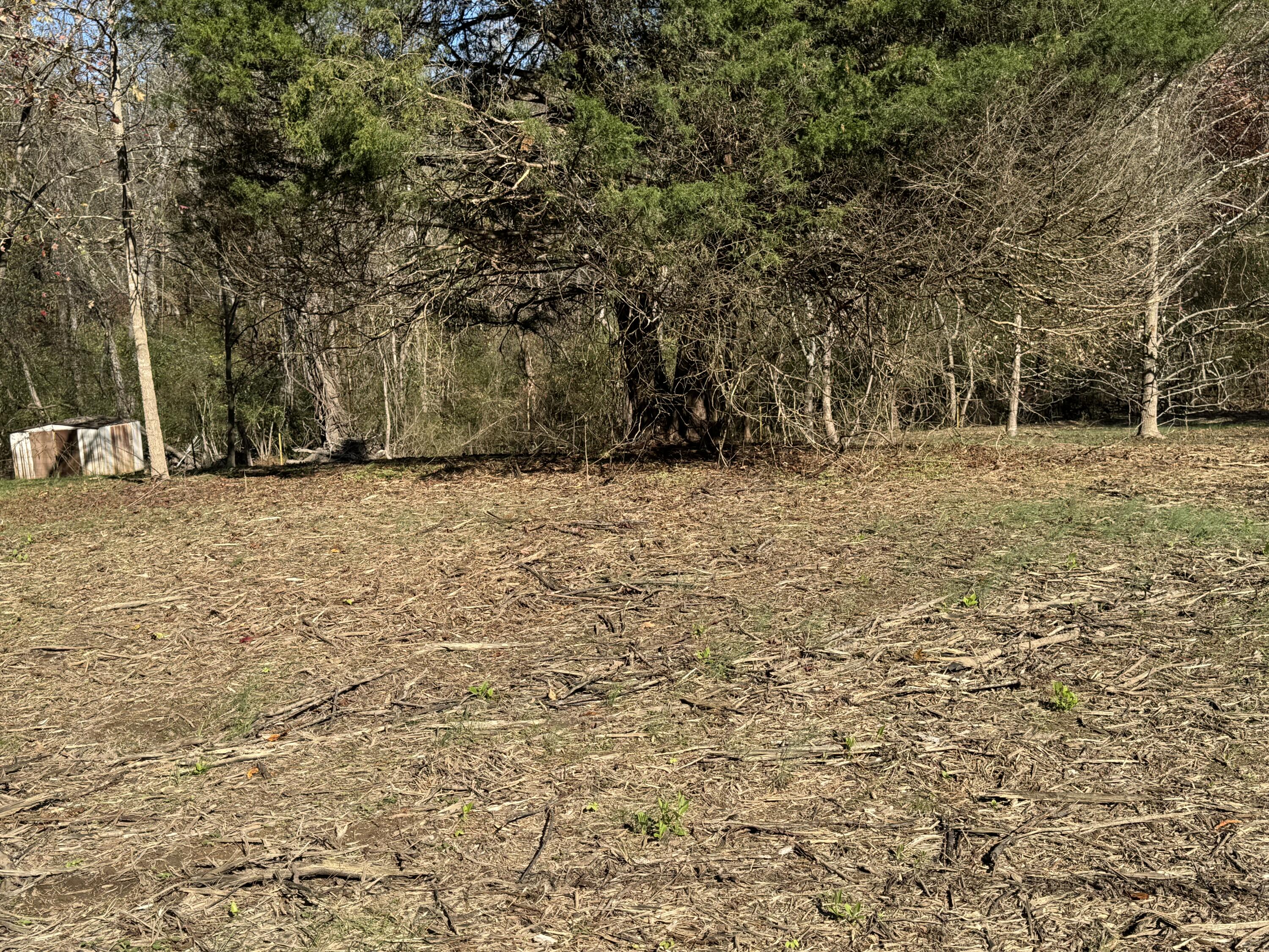 0 Sugar Tree Lane Birchwood, TN 37308 - Photo 3 of 4 IMG_0180