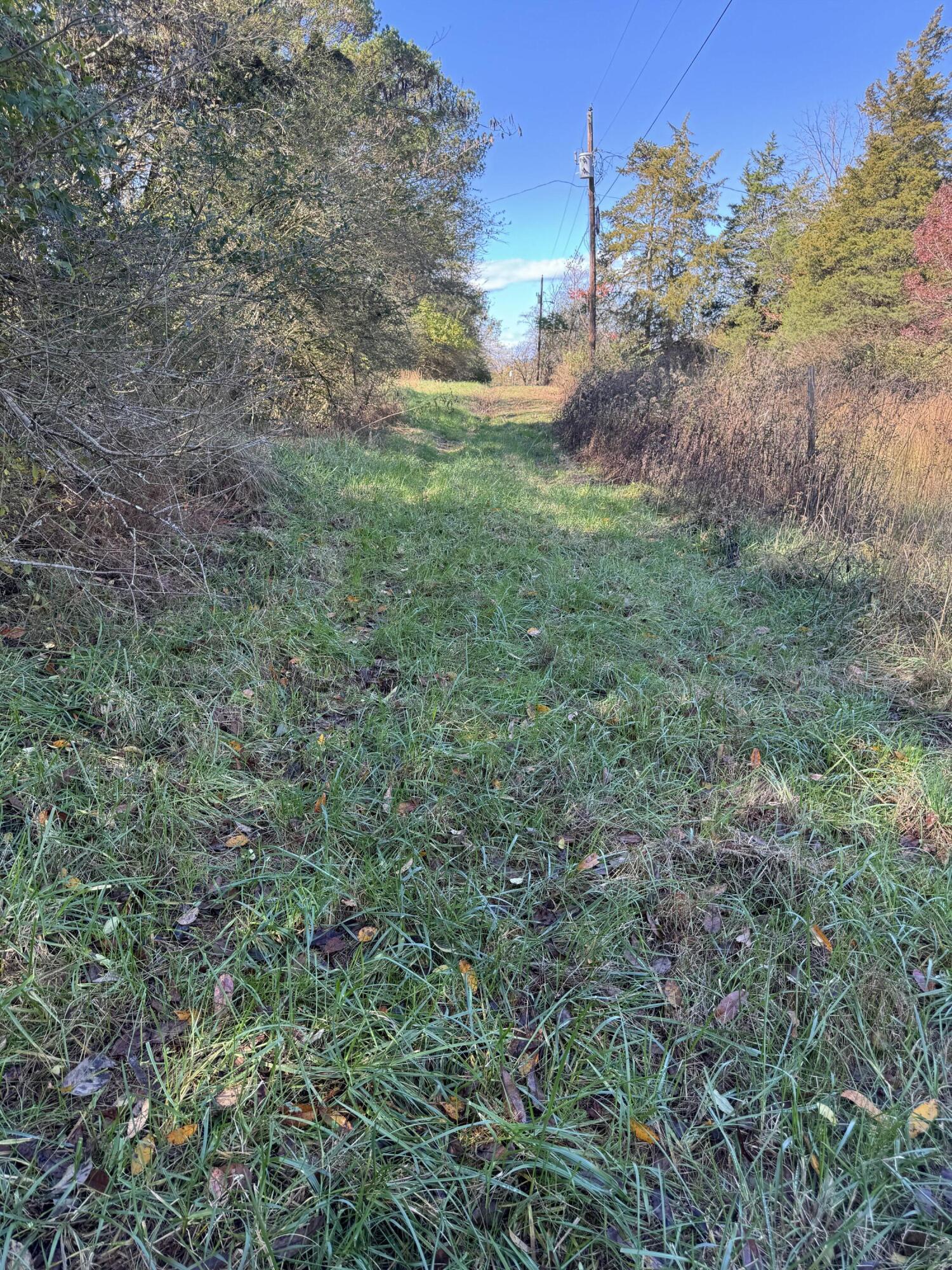 0 Sugar Tree Lane Birchwood, TN 37308 - Photo 4 of 4 IMG_0174