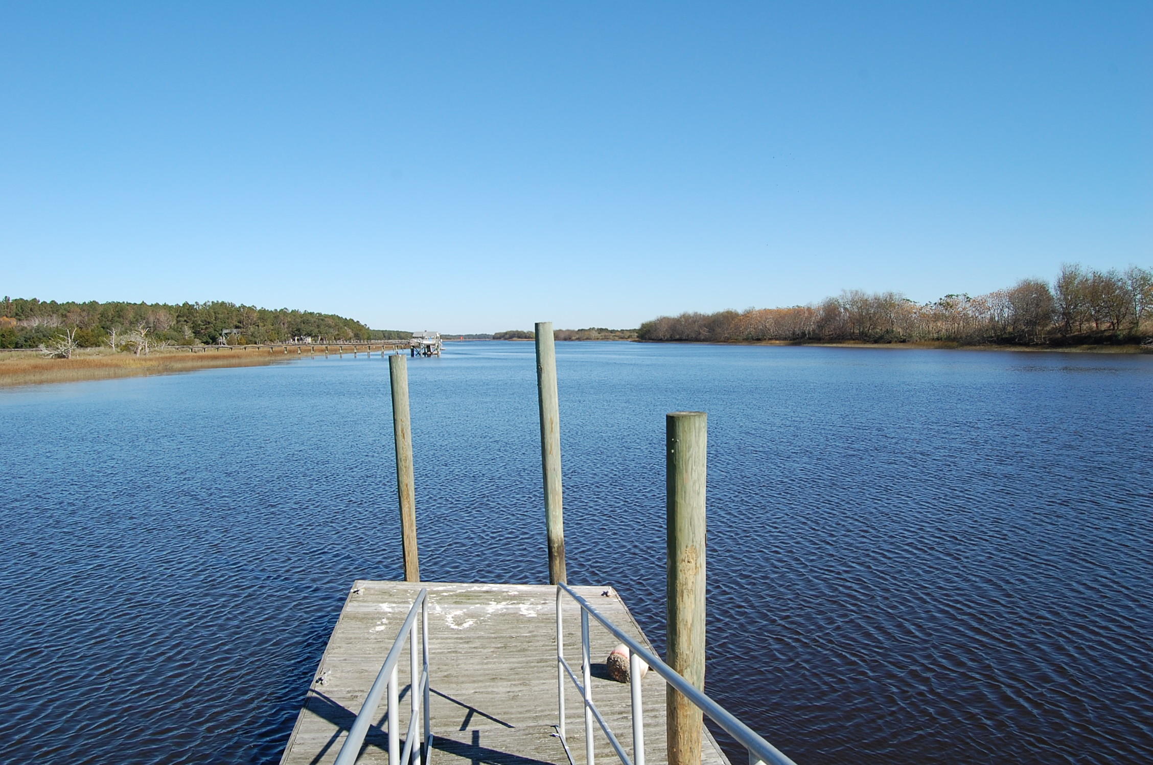 705 Doar Road Awendaw, SC 29429 - Photo 11 of 21 DSC_0020