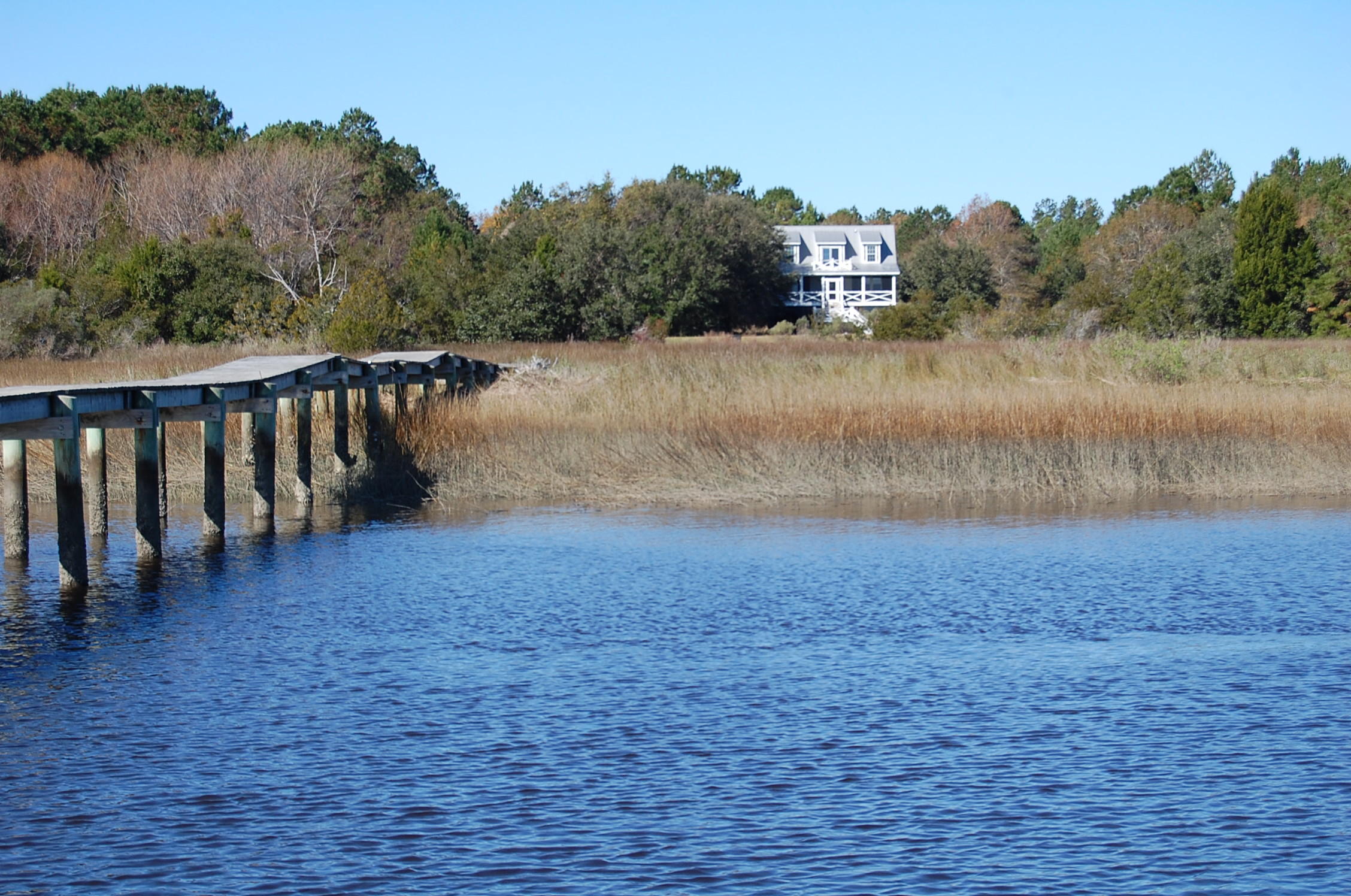705 Doar Road Awendaw, SC 29429 - Photo 5 of 21 DSC_0025