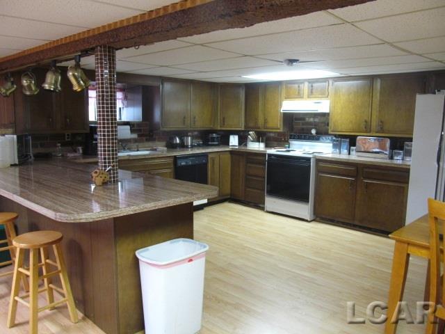 17730 Manitou Beach Road Addison, MI 49220 - Photo 12 of 15