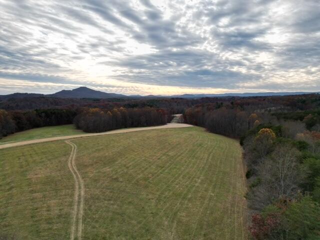 0 Angle Plantation Road Rocky Mount, VA 24151 - Photo 1 of 23 23 acres