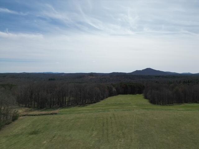 0 Angle Plantation Road Rocky Mount, VA 24151 - Photo 12 of 23 MVP Easement