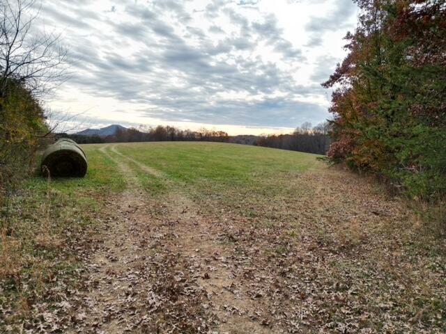 0 Angle Plantation Road Rocky Mount, VA 24151 - Photo 15 of 23 Country Setting