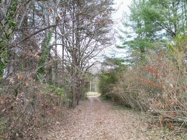 0 Angle Plantation Road Rocky Mount, VA 24151 - Photo 16 of 23 23 acres