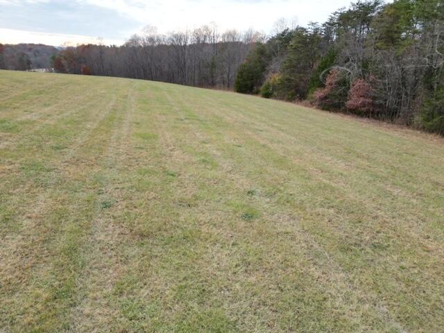 0 Angle Plantation Road Rocky Mount, VA 24151 - Photo 19 of 23 23 acres