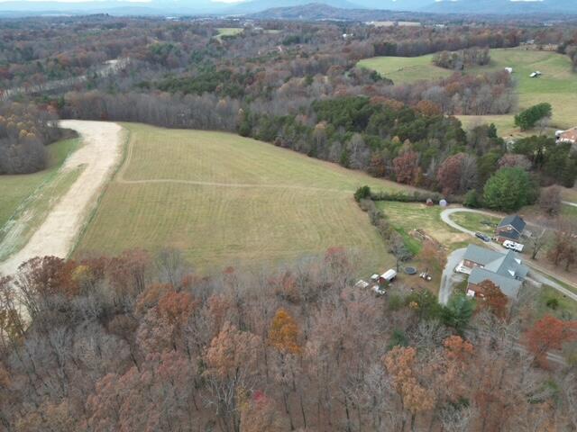 0 Angle Plantation Road Rocky Mount, VA 24151 - Photo 20 of 23 23 acres