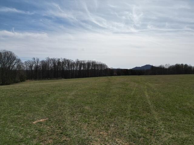 0 Angle Plantation Road Rocky Mount, VA 24151 - Photo 2 of 23 Beautiful Building Site