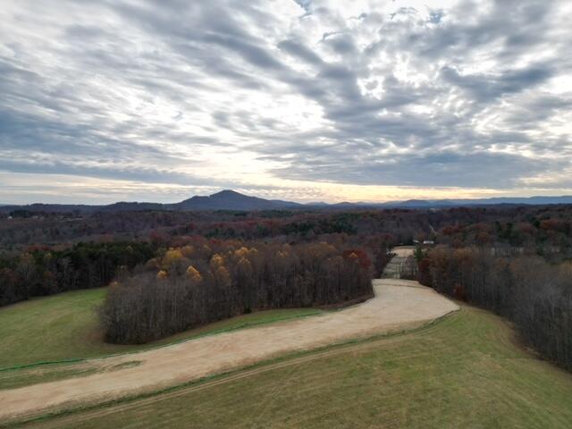 0 Angle Plantation Road Rocky Mount, VA 24151 - Photo 22 of 23 23 acres