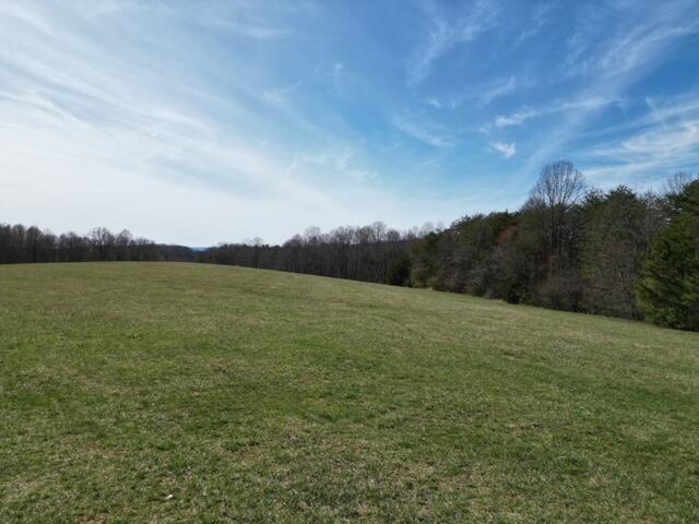 0 Angle Plantation Road Rocky Mount, VA 24151 - Photo 3 of 23 23 acres