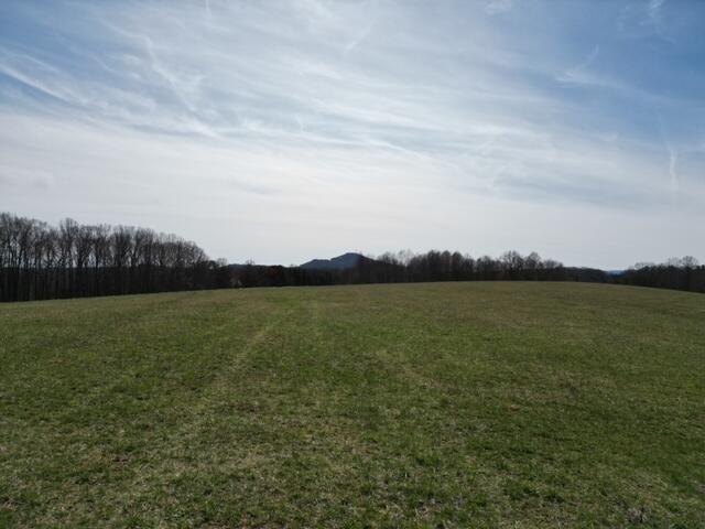 0 Angle Plantation Road Rocky Mount, VA 24151 - Photo 4 of 23 23 acres