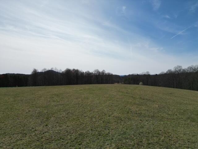 0 Angle Plantation Road Rocky Mount, VA 24151 - Photo 6 of 23 23 acres