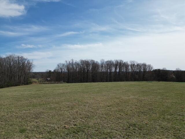 0 Angle Plantation Road Rocky Mount, VA 24151 - Photo 7 of 23 23 acres