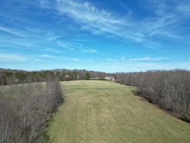 0 Angle Plantation Road Rocky Mount, VA 24151 - Photo 8 of 23 Beautiful Acreage