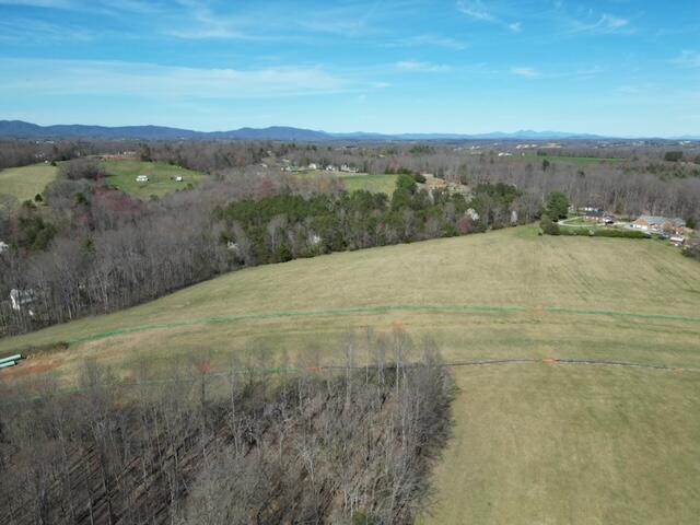 0 Angle Plantation Road Rocky Mount, VA 24151 - Photo 10 of 23 23 acres