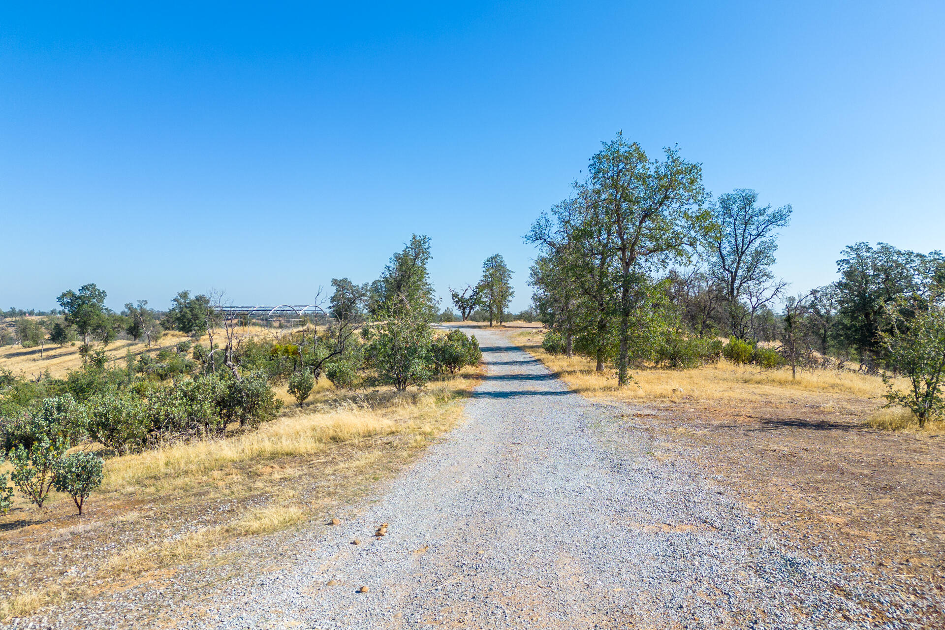 Coal Pit Road Igo, CA 96047 - Photo 13 of 36 DJI_0198