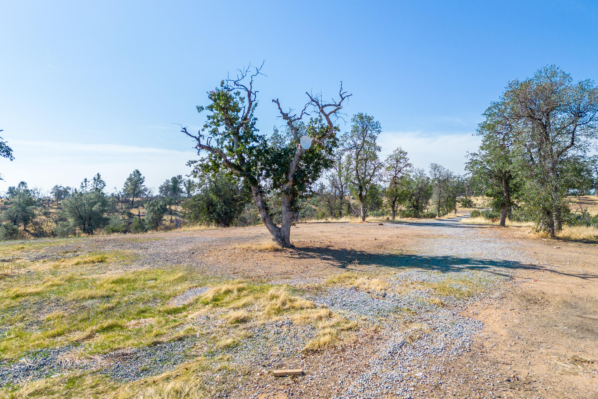 Coal Pit Road Igo, CA 96047 - Photo 14 of 36 DJI_0210