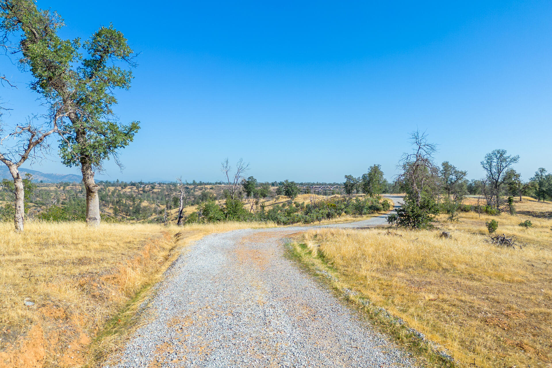 Coal Pit Road Igo, CA 96047 - Photo 16 of 36 DJI_0195