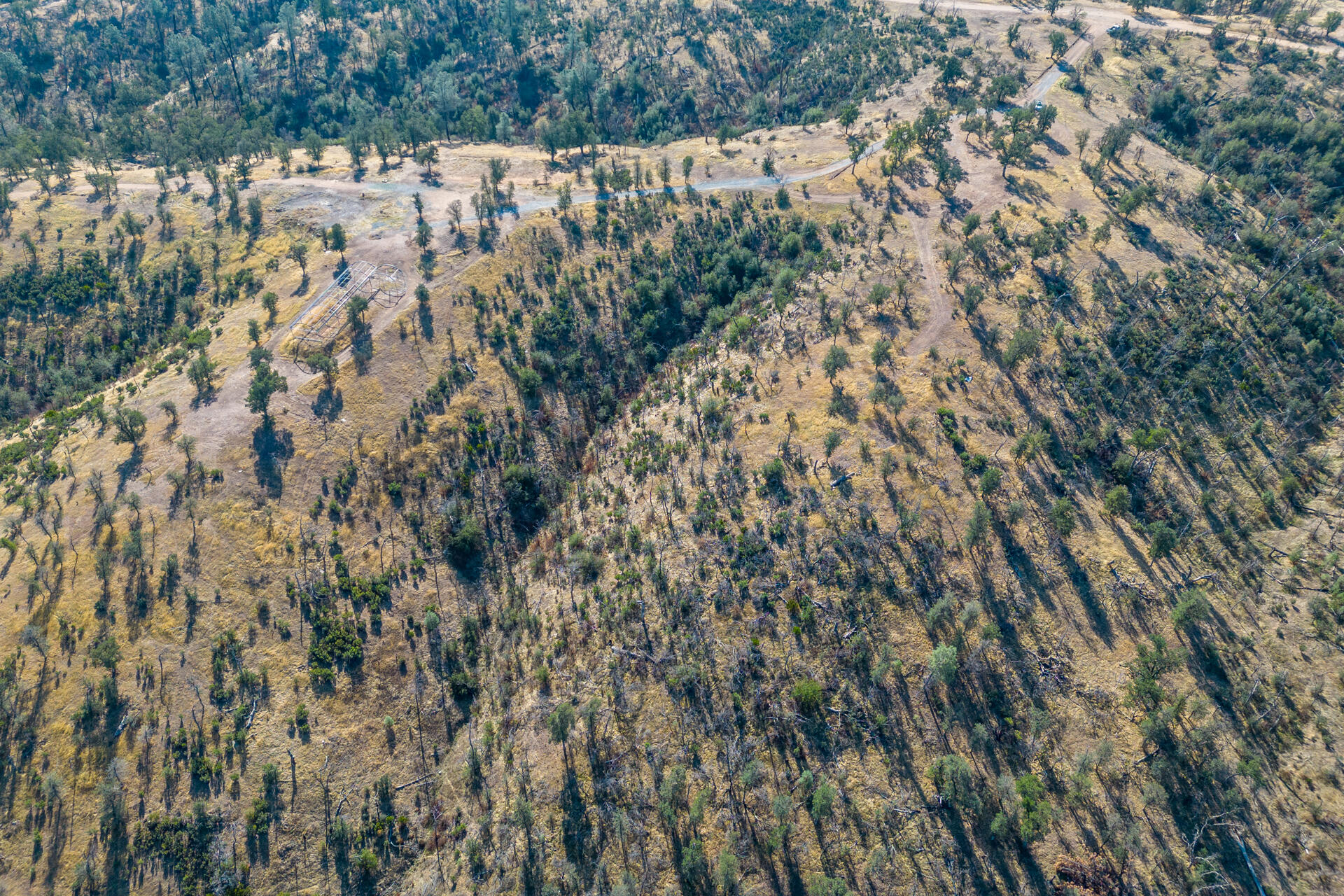 Coal Pit Road Igo, CA 96047 - Photo 17 of 36 DJI_0159