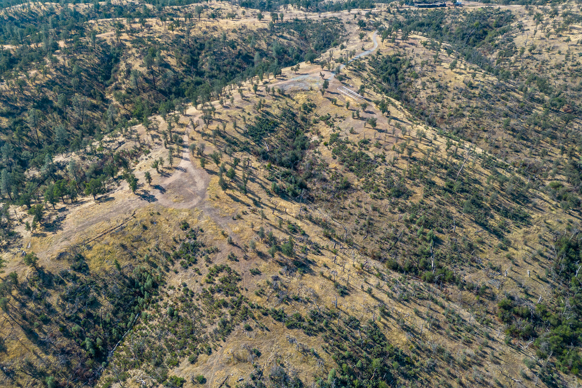 Coal Pit Road Igo, CA 96047 - Photo 19 of 36 DJI_0162