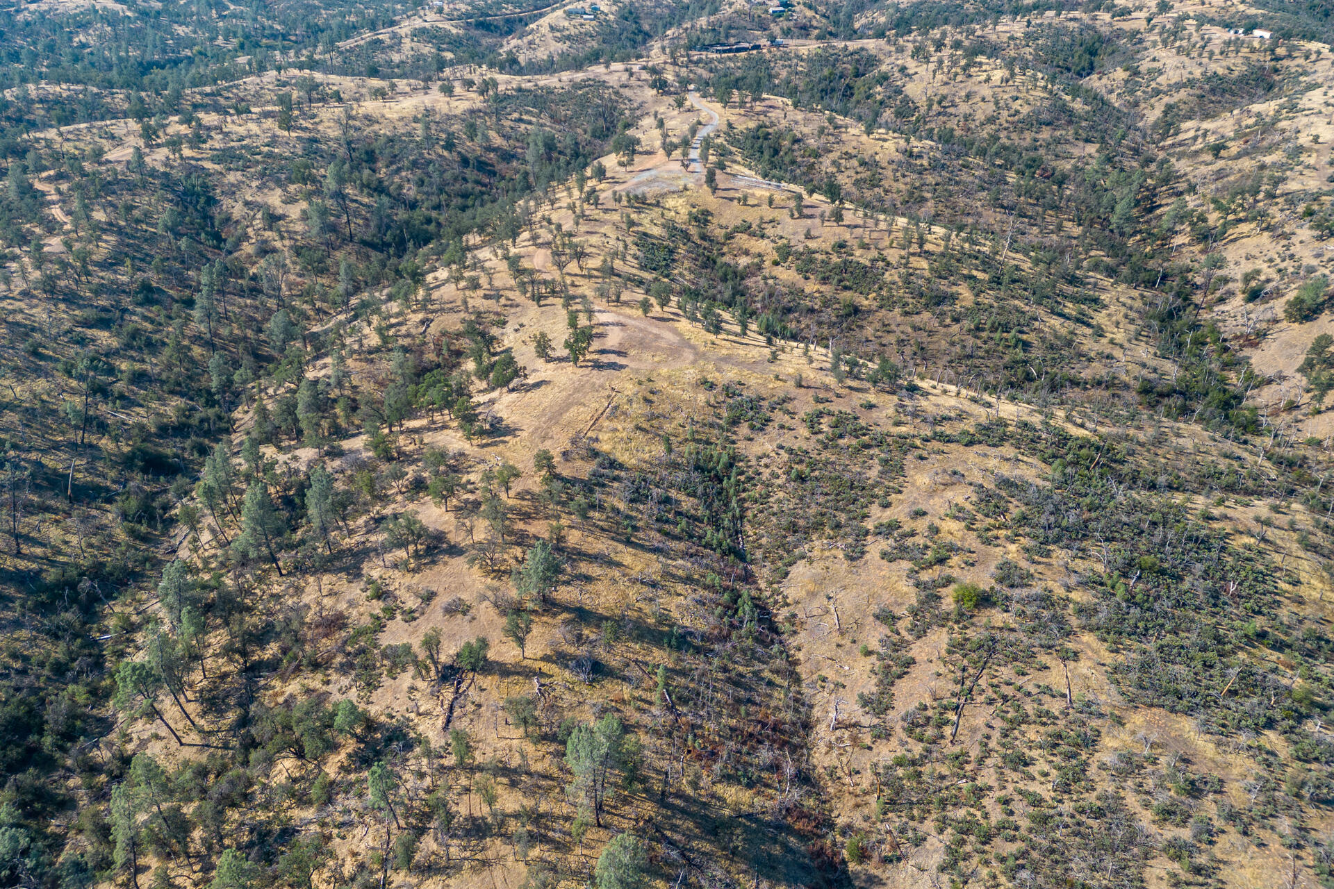 Coal Pit Road Igo, CA 96047 - Photo 20 of 36 DJI_0165