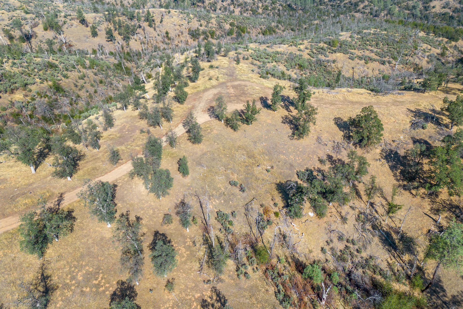 Coal Pit Road Igo, CA 96047 - Photo 23 of 36 DJI_0171