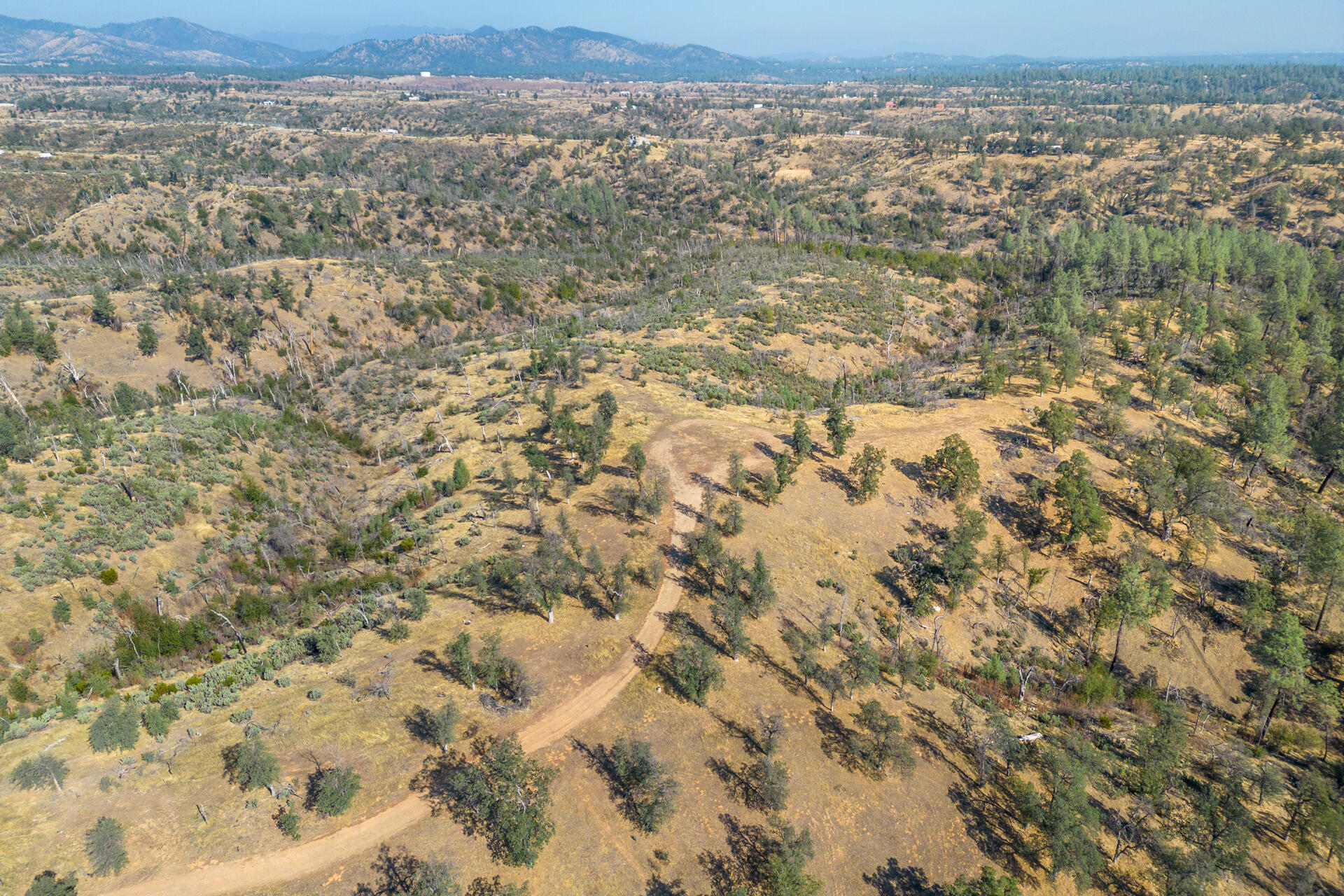 Coal Pit Road Igo, CA 96047 - Photo 24 of 36 DJI_0174