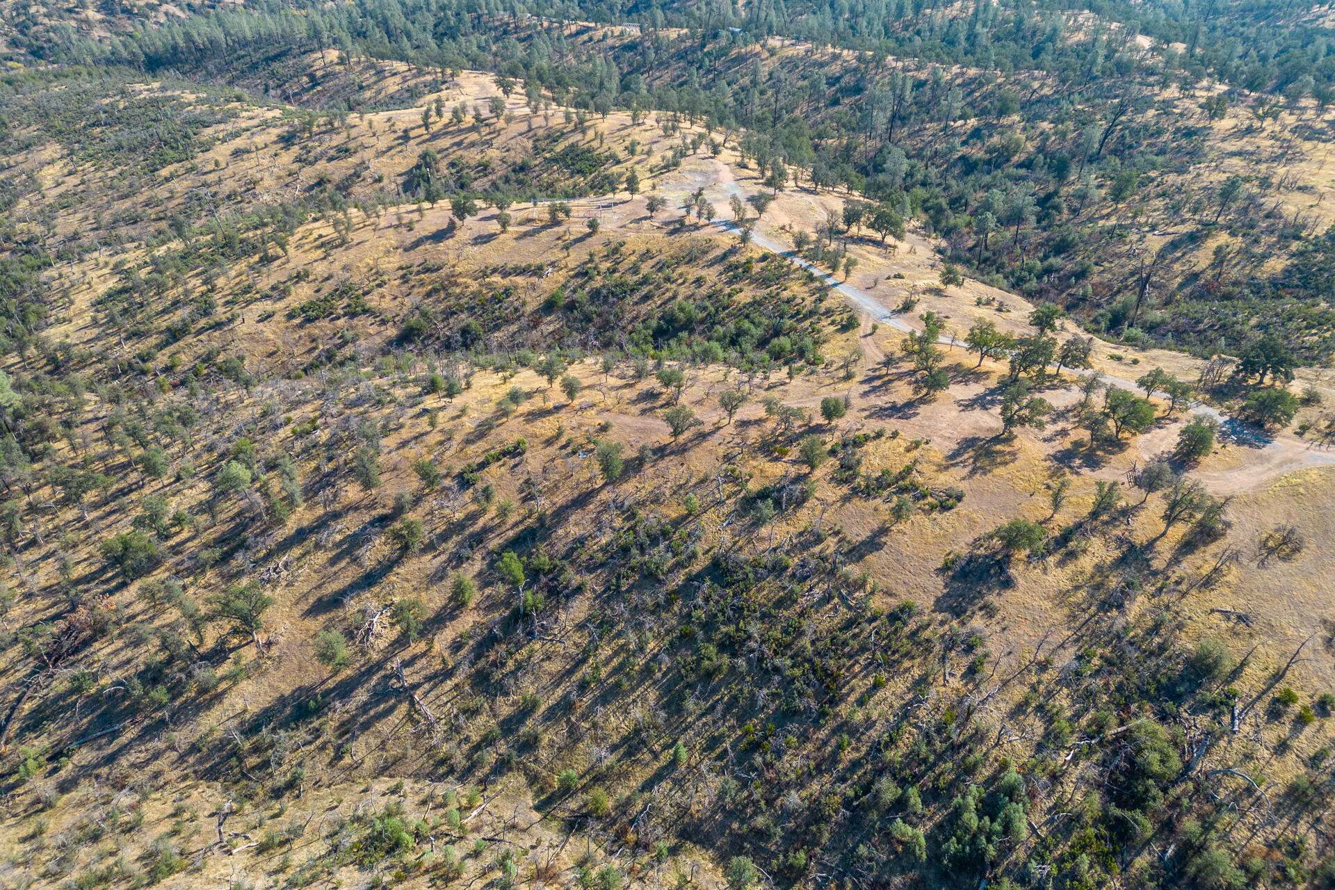 Coal Pit Road Igo, CA 96047 - Photo 34 of 36 DJI_0156