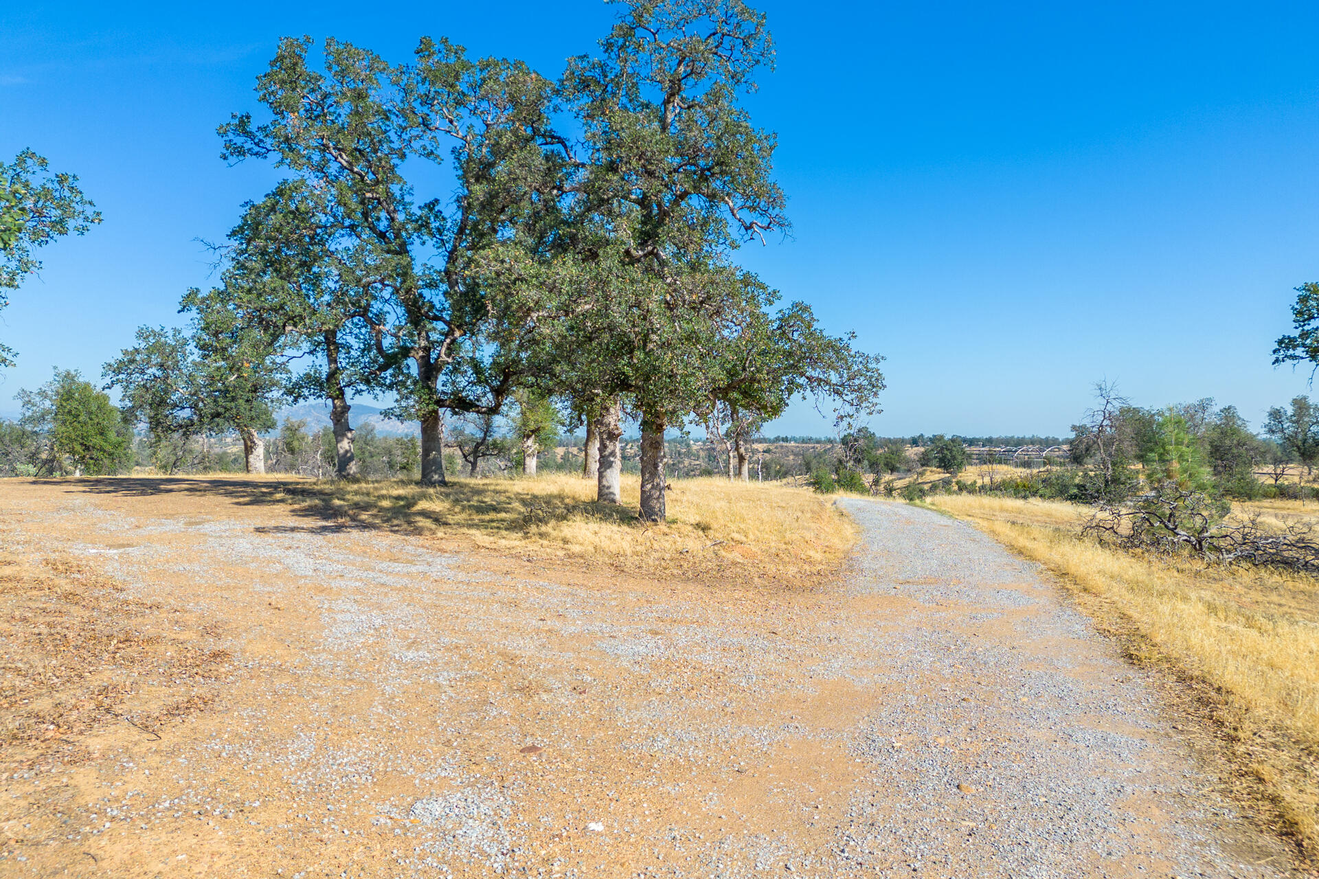 Coal Pit Road Igo, CA 96047 - Photo 10 of 36 DJI_0192