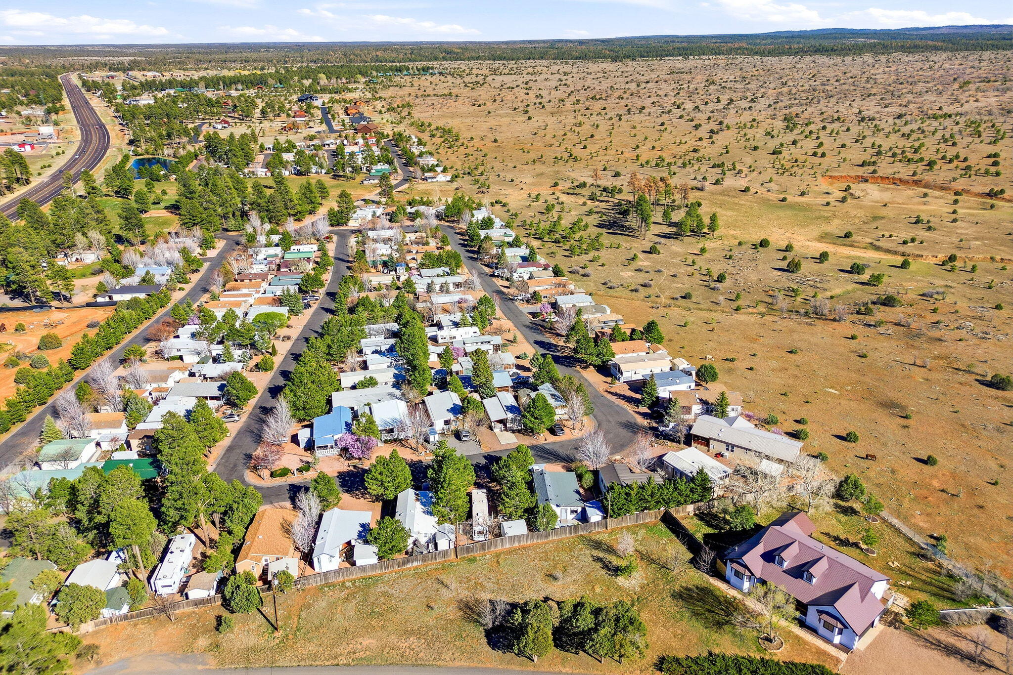 2703 Rustlers Roost Overgaard, AZ 85933 - Photo 29 of 33