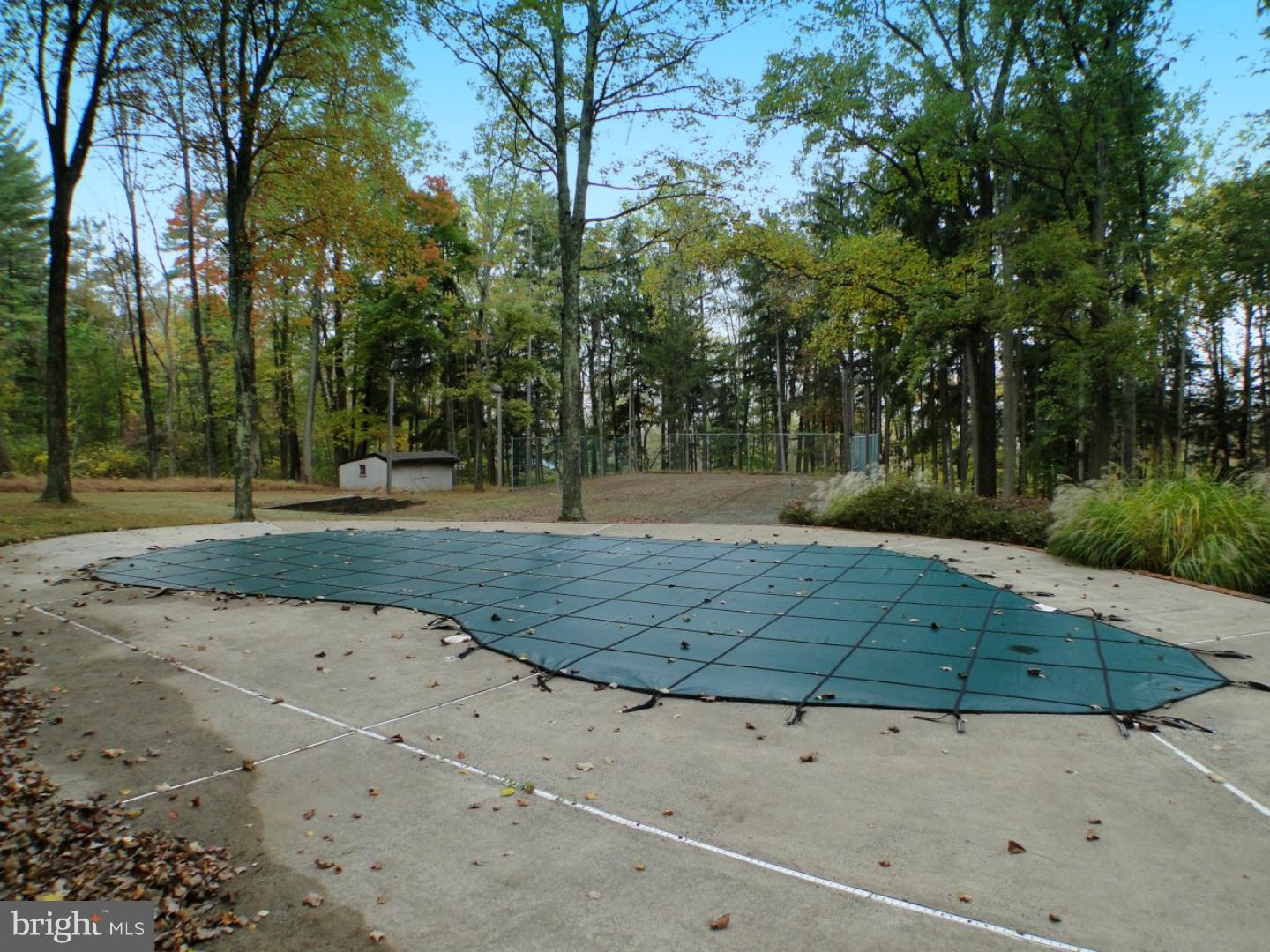 1277 Eagle Road New Hope, PA 18938 - Photo 17 of 21 Pool