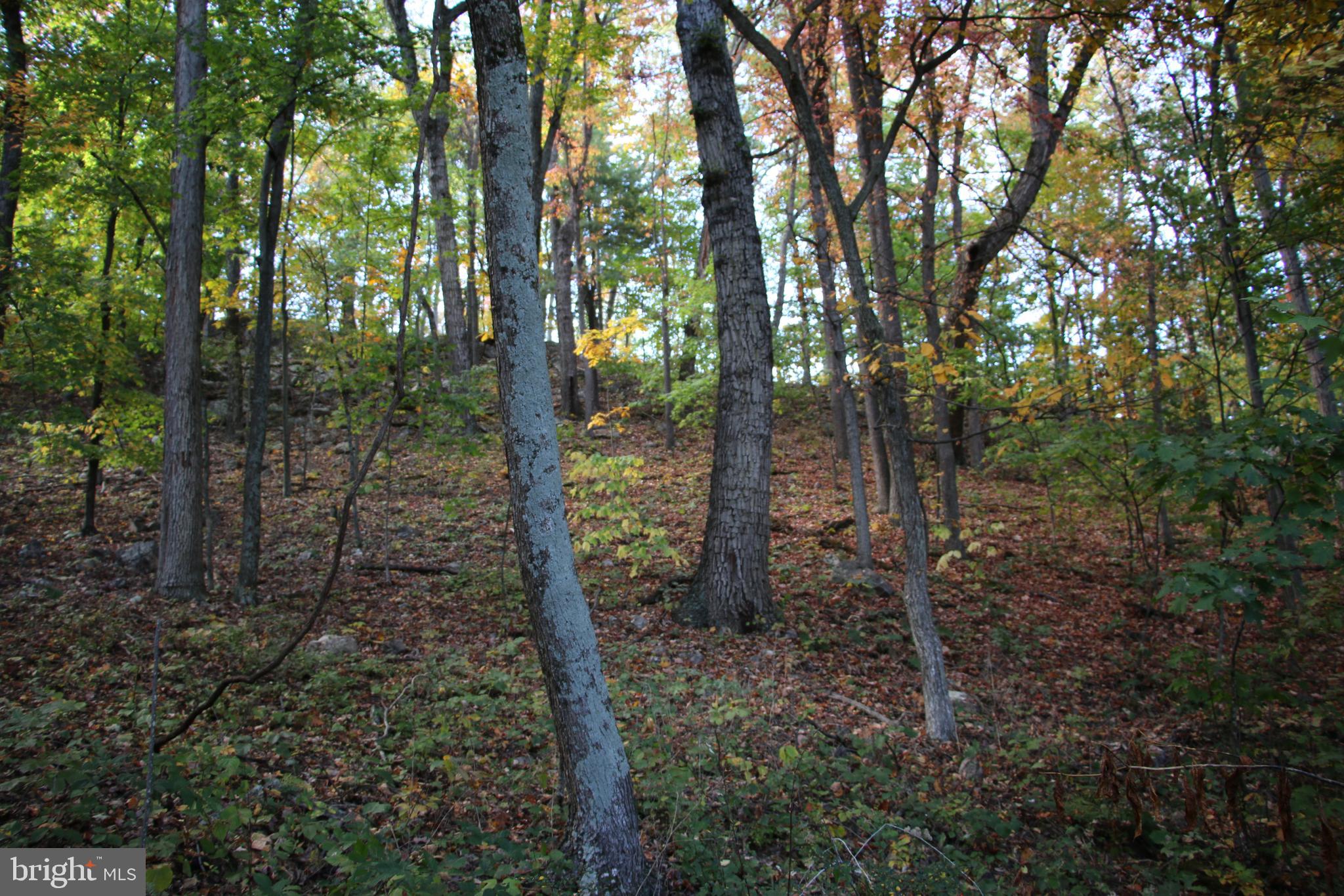Senedo Rd Mount Mount Jackson, VA 22842 - Photo 20 of 25