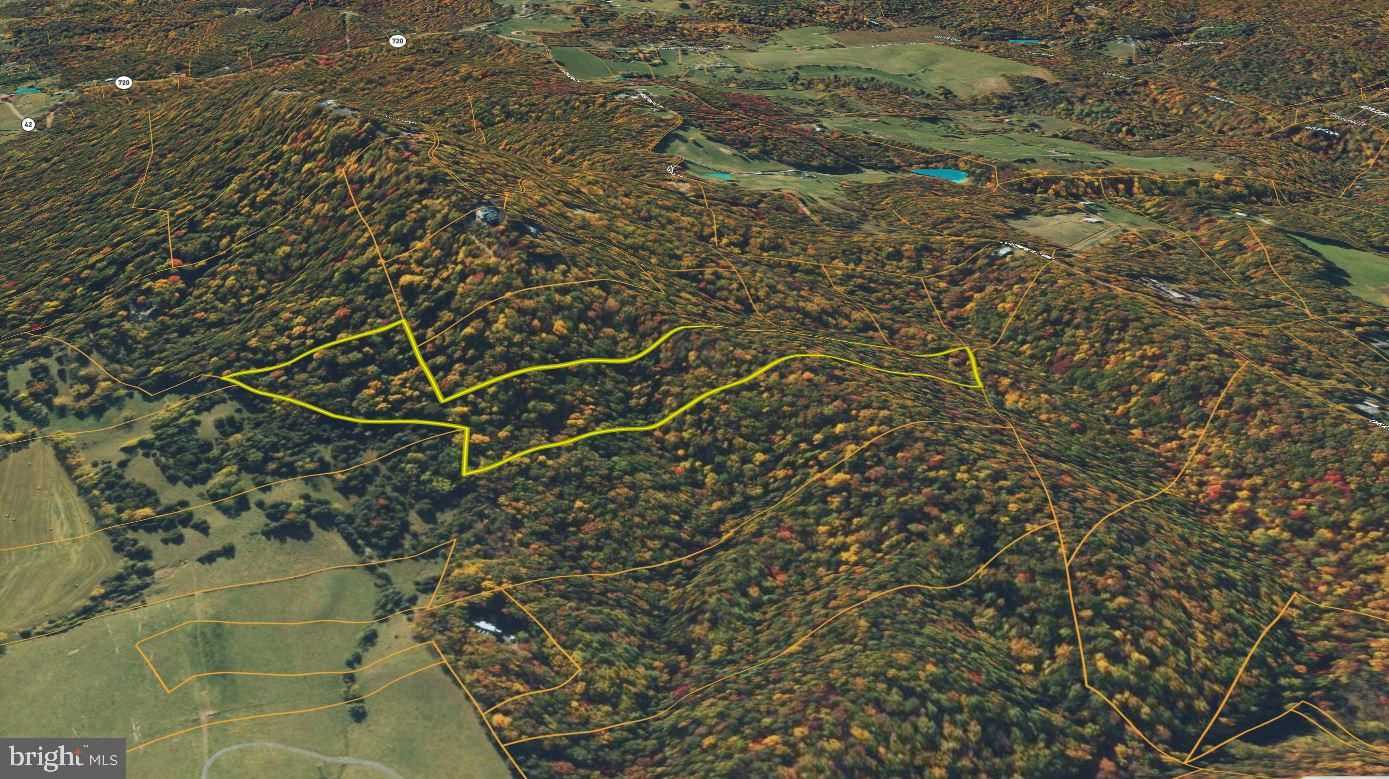 Senedo Rd Mount Mount Jackson, VA 22842 - Photo 22 of 25