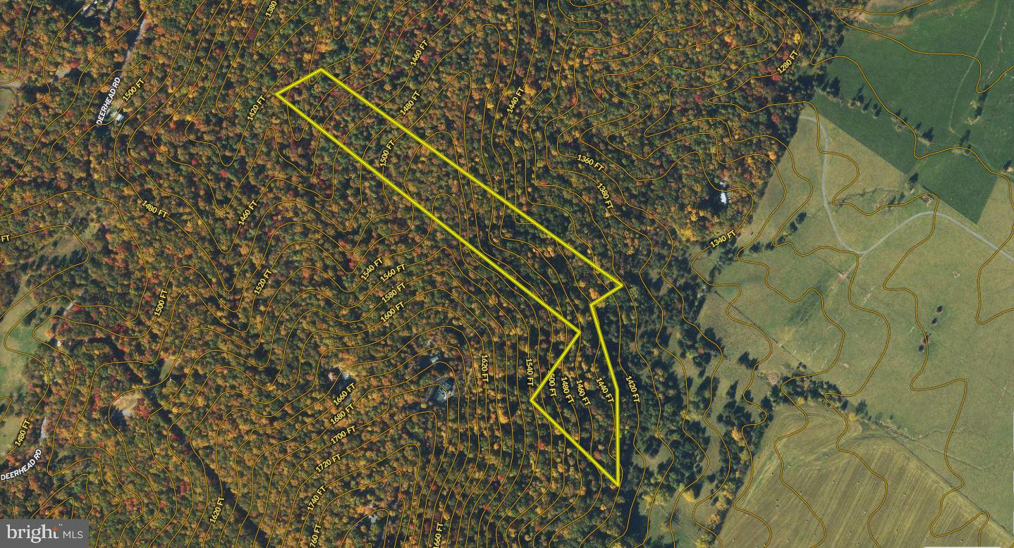 Senedo Rd Mount Mount Jackson, VA 22842 - Photo 24 of 25