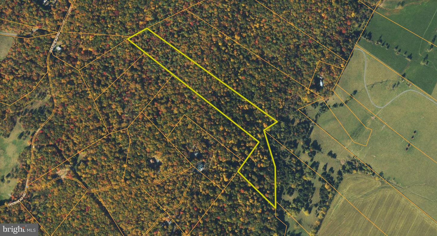 Senedo Rd Mount Mount Jackson, VA 22842 - Photo 25 of 25