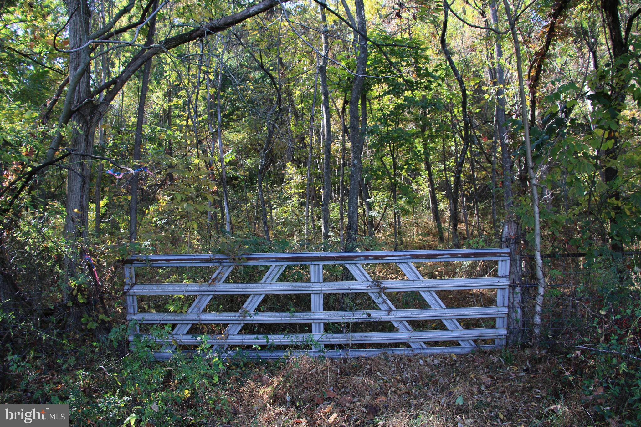 Senedo Rd Mount Mount Jackson, VA 22842 - Photo 5 of 25
